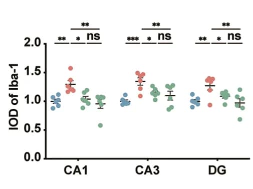 Open access visualization of Scatter Plot, Error Bars, Iba1-positive Cells, Hippocampal Cornu Ammonis, Dentate Gyrus