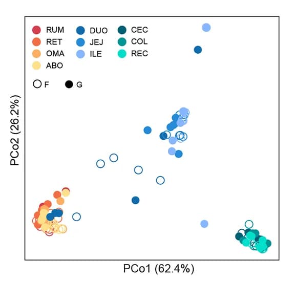 Open access visualization of Scatter Plot, PCA, Principal Coordinate Analysis, GIT Regions