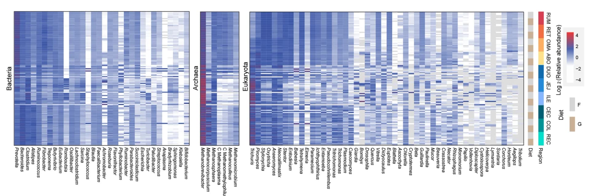Open access visualization of Heatmap, Relative Abundance, Major Genera, GIT Regions, Bacteria