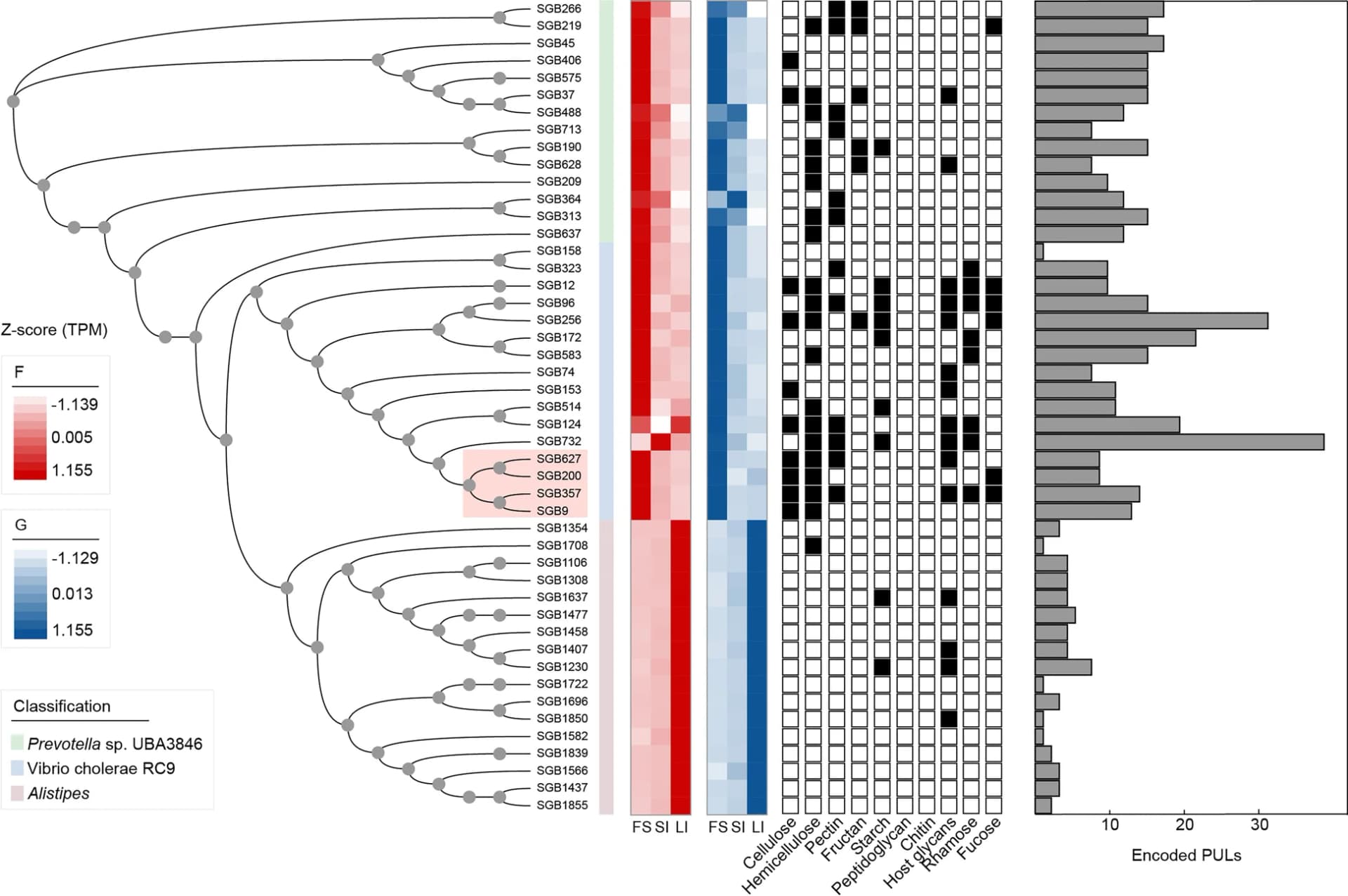 Open access visualization of Heatmap, Bar Plot, Clustered, Histogram, Polysaccharide Utilization Loci