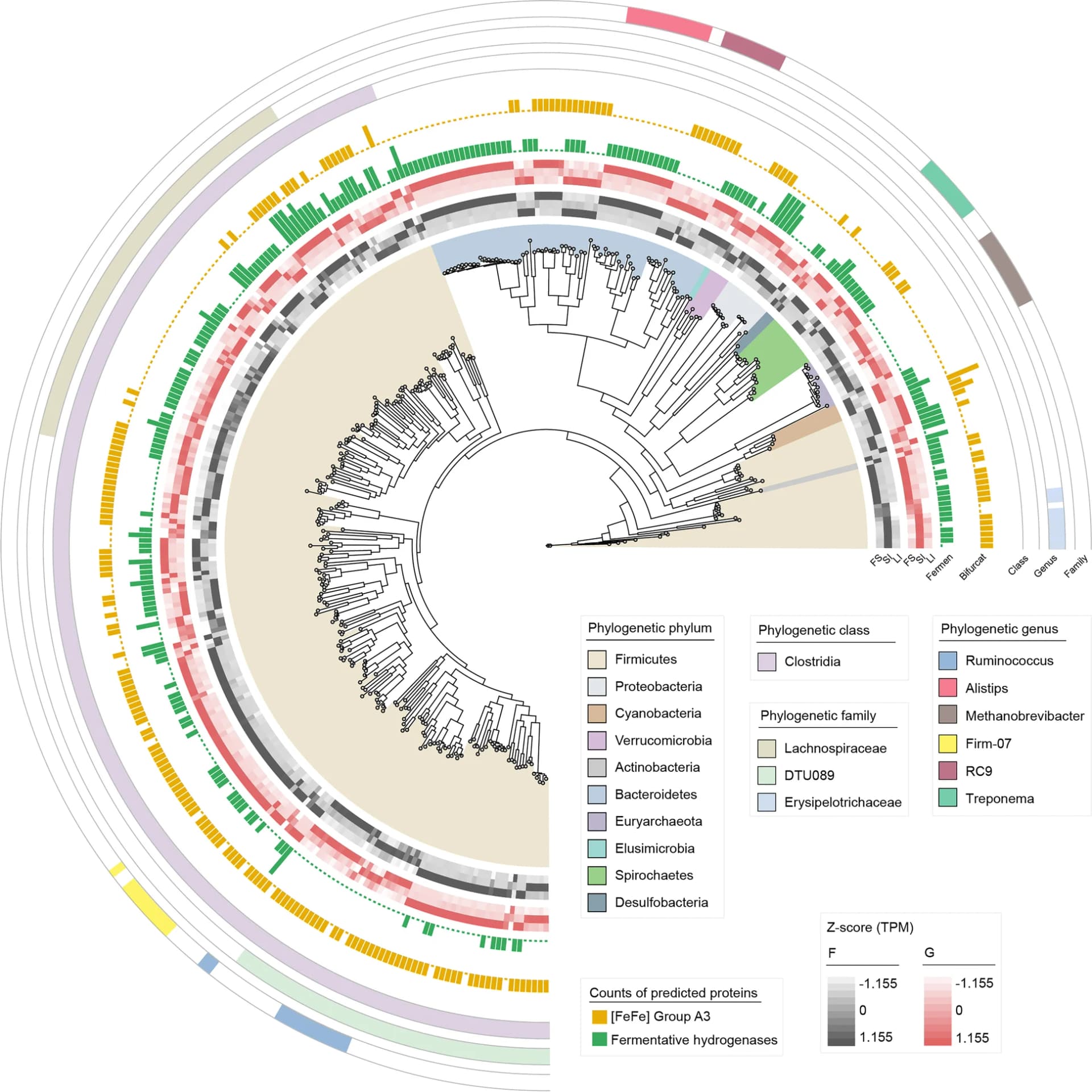 Open access visualization of Network, Phylogenetic Tree, Bar Plot, Heatmap, Genome Bins