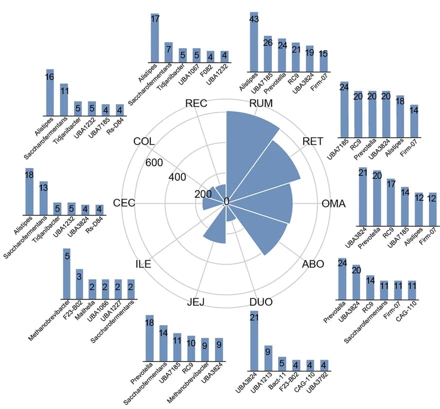 Open access visualization of Bar Plot, Radar Chart, Taxonomic Populations, SGB Abundance, Gastrointestinal Tract