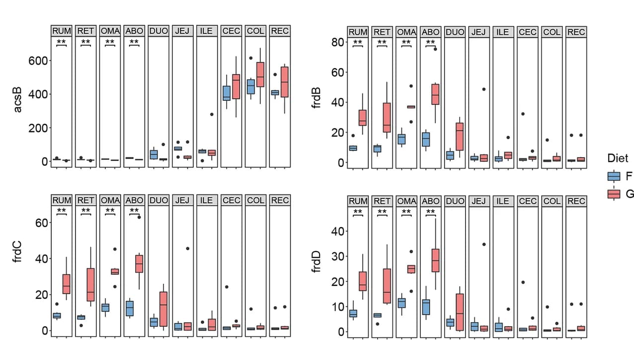 Open access visualization of Box Plot, Terminal Reductases, Hydrogenotrophic Acetogenesis, Fumarate Reduction, Forage-Based Diet