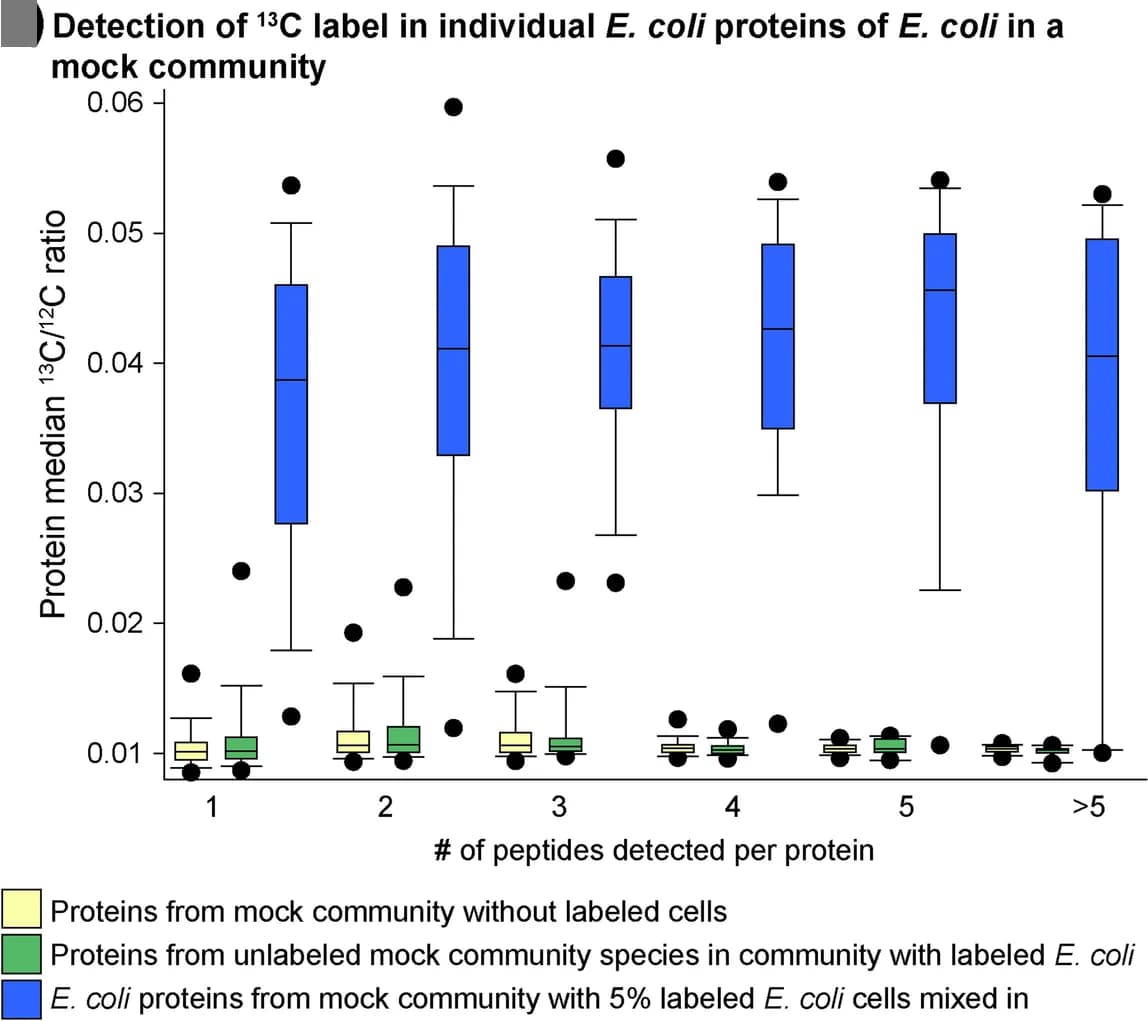 Open access visualization of Box Plot, 13 C/ 12 C Ratios, Proteins, Peptides, E. coli