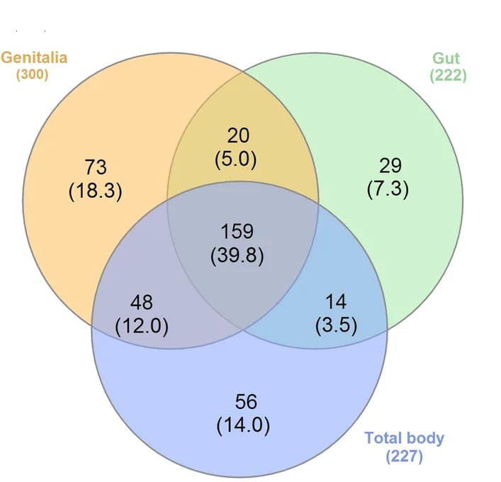 Open access visualization of Venn Diagram, Bacteria Genera, Body Parts, Paederus fuscipes, Mazandaran