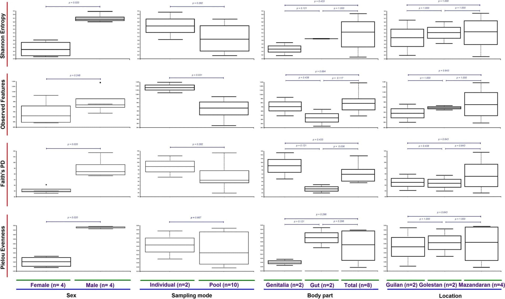 Open access visualization of Box Plot, Alpha Diversity, Shannon's Entropy, Observed Features, Faith's PD