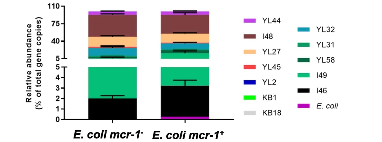 Open access visualization of Stacked Bar Plot, Error Bars, Relative Abundance, OMM 12 Strains, qPCR
