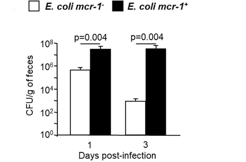 Open access visualization of Bar Plot, Error Bars, Clustered, E. coli, Feces