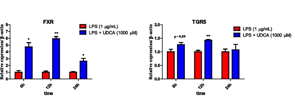 Open access visualization of Bar Plot, Error Bars, Clustered, FXR mRNA, TGR5 mRNA