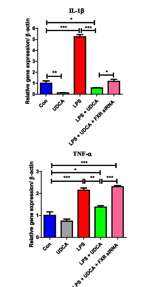 Open access visualization of Bar Plot, Error Bars, IL-1beta mRNA, TNF-alpha mRNA, LPS