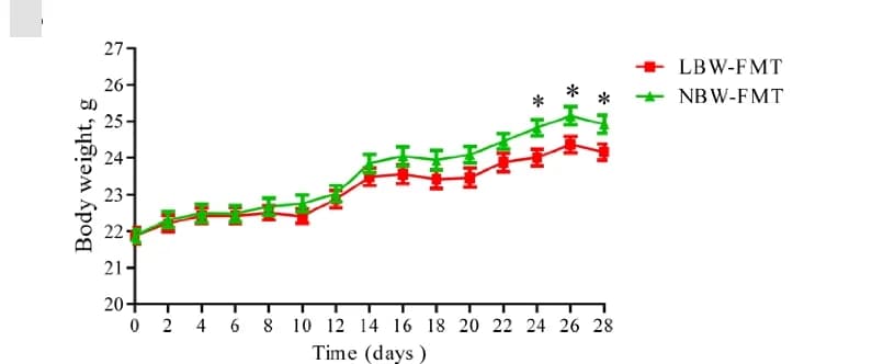 Open access visualization of Line Plot, Error Bars, Body weight, Mice, FMT