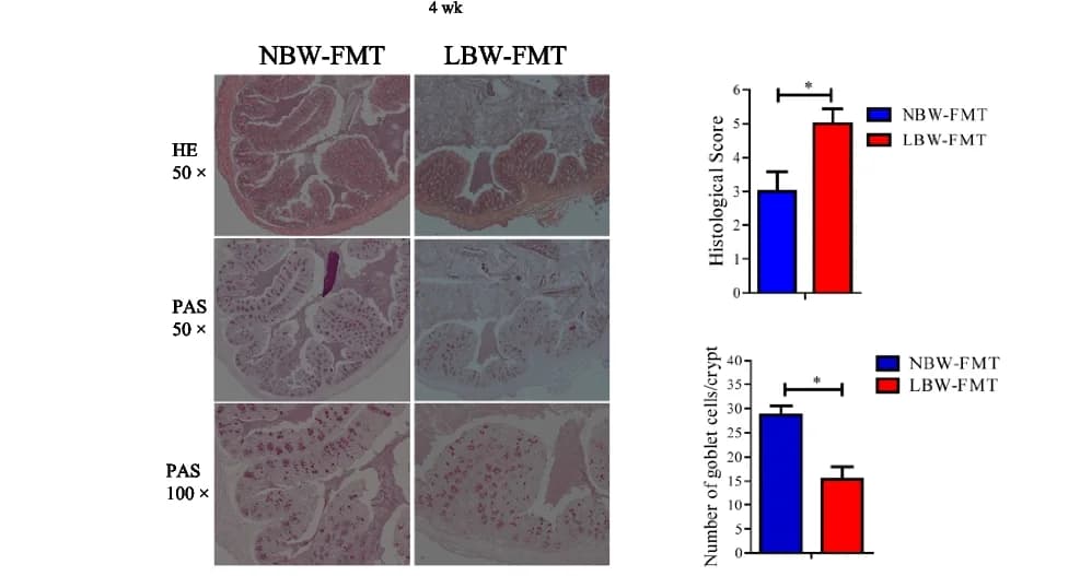 Open access visualization of Bar Plot, Error Bars, Microscopy, H&E staining, PAS staining
