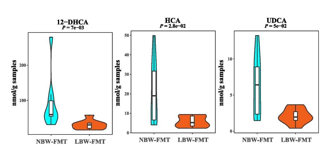Open access visualization of Violin Plot, Box Plot, Violin plots, Differentially abundant, Colonic BAs