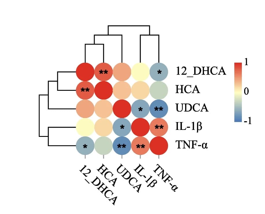 Open access visualization of Heatmap, Clustered, Spearman correlation, Concentration of BAs, Gene expression