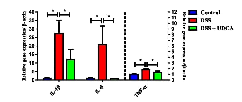 Open access visualization of Bar Plot, Error Bars, mRNA expression, Inflammatory cytokines, Colon