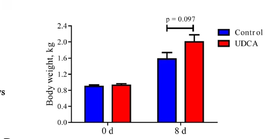 Open access visualization of Bar Plot, Error Bars, Clustered, Body weight, UDCA administration