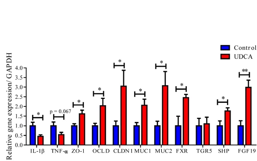 Open access visualization of Bar Plot, Error Bars, Clustered, mRNA expression, Inflammation