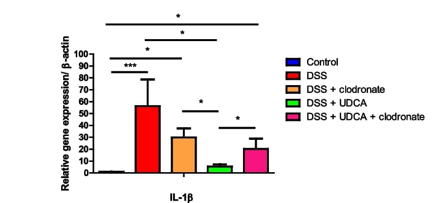 Open access visualization of Bar Plot, Error Bars, mRNA expression, IL-1beta, Colon
