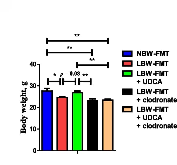 Open access visualization of Bar Plot, Error Bars, Body weight