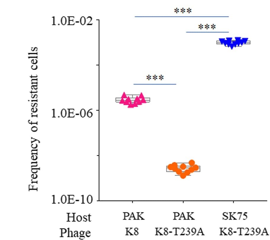 Open access visualization of Scatter Plot, Frequency Determination, Resistant Cells, Mutation Frequencies, Wild-Type Strain