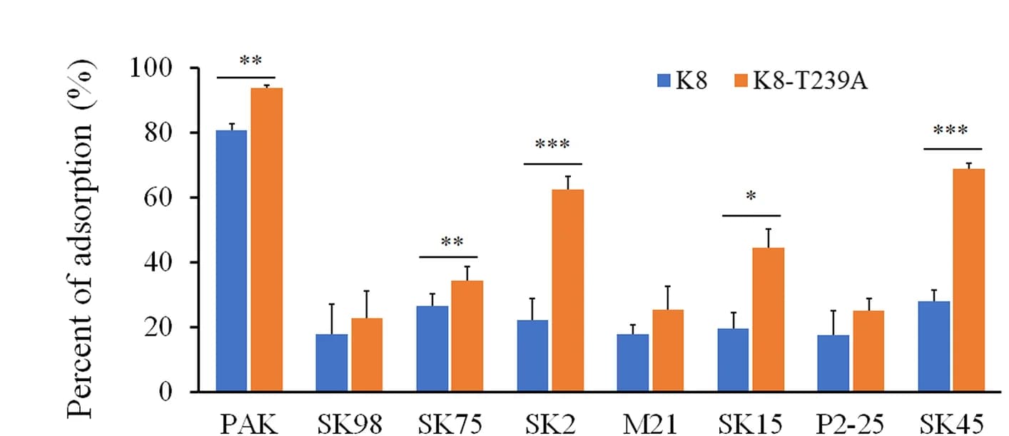Open access visualization of Bar Plot, Clustered, Error Bars, Adsorption Analysis, Phage