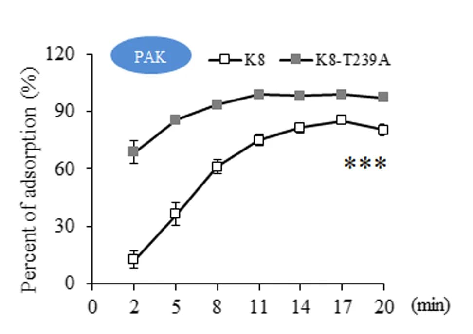 Open access visualization of Line Plot, Error Bars, Adsorption, Phages, PAK Cells