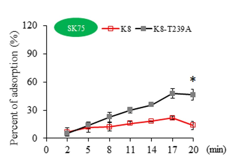 Open access visualization of Line Plot, Error Bars, Adsorption, Phages, SK75 Cells