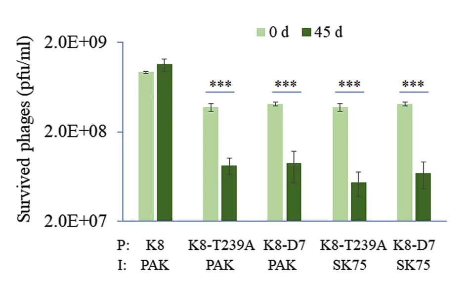 Open access visualization of Bar Plot, Error Bars, Clustered, Phage, PBS