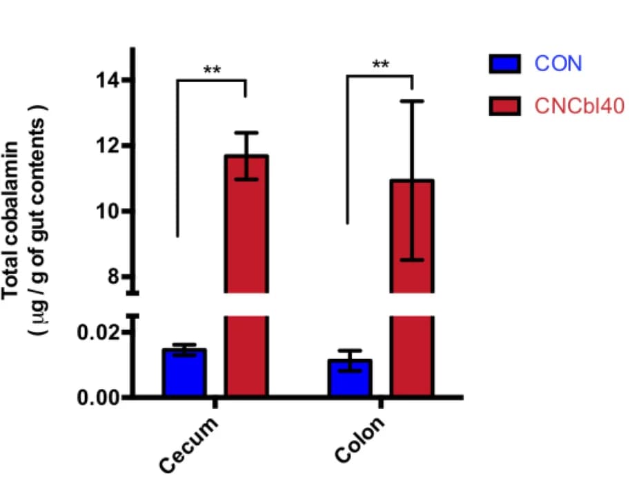 Open access visualization of Bar Plot, Error Bars, Clustered, Cyanocobalamin, Cecal Cobalamin Levels