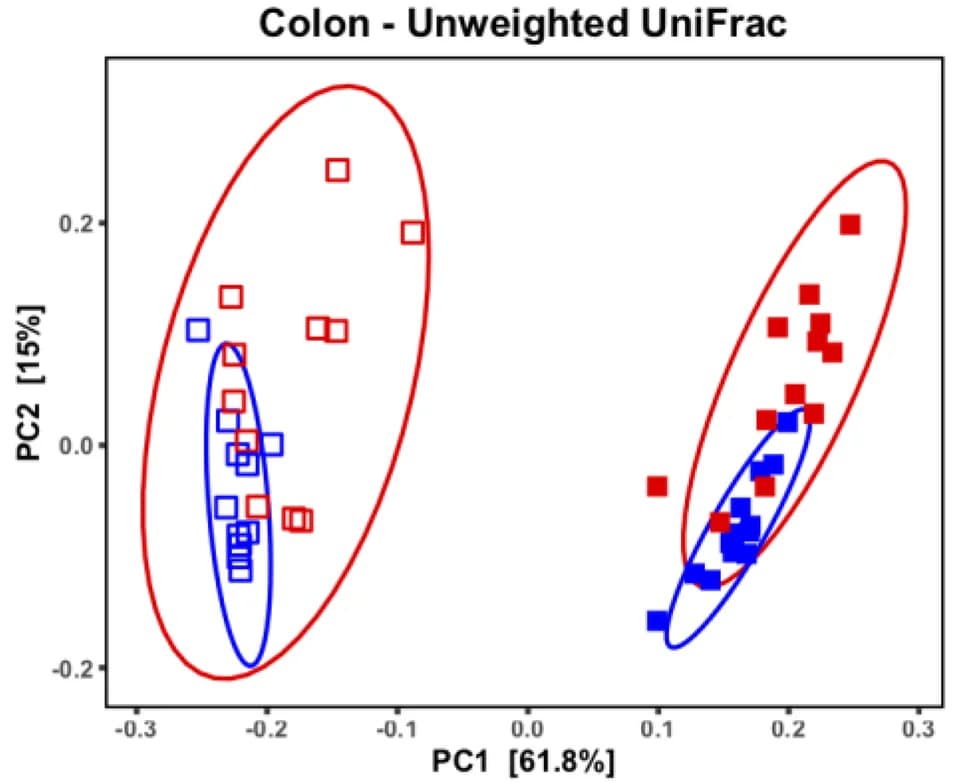 Open access visualization of Scatter Plot, PCA, Unweighted UniFrac PCoA, Microbial Community, Clustering