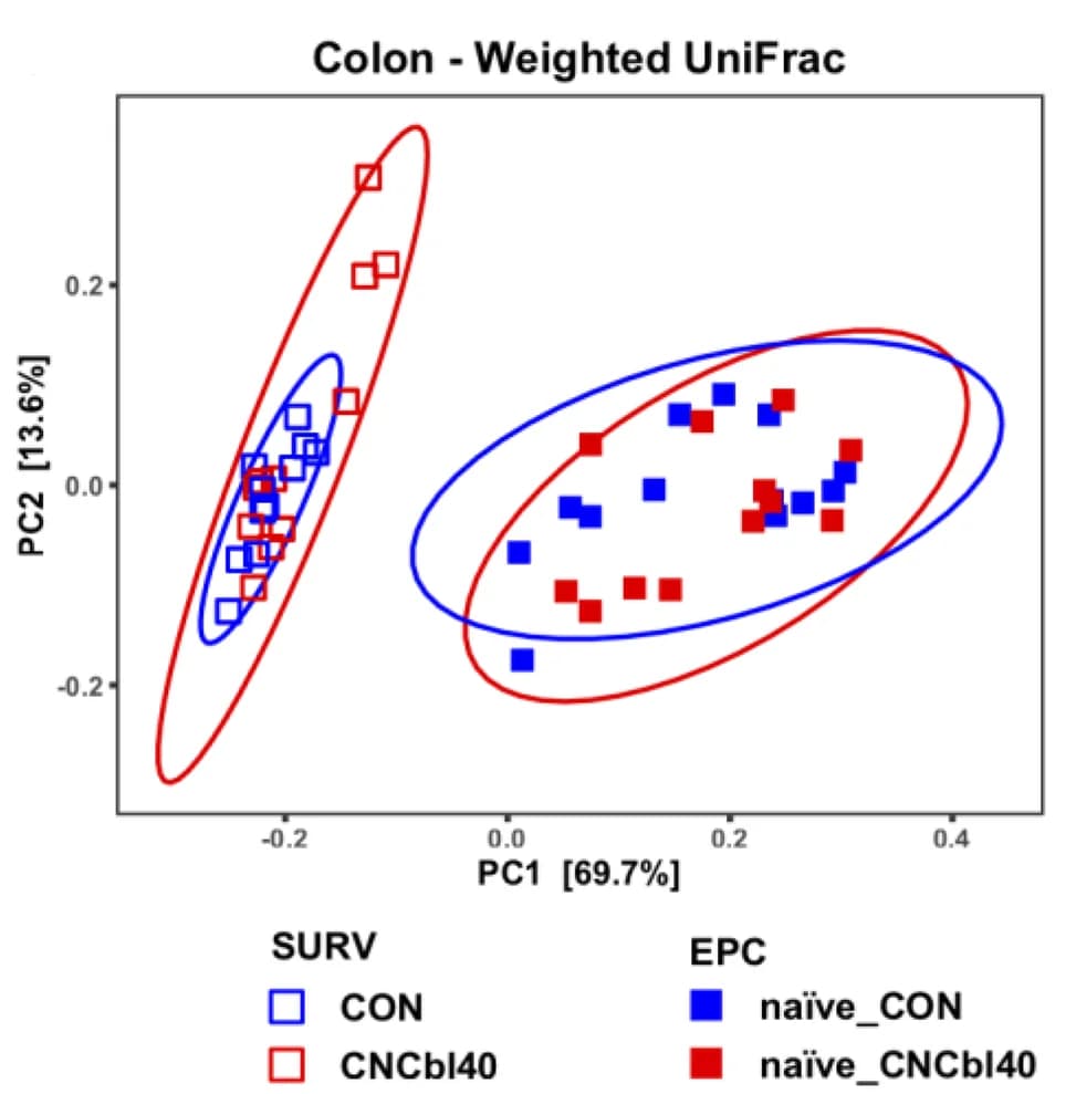 Open access visualization of Scatter Plot, PCA, Weighted UniFrac, Microbial Community, Clustering