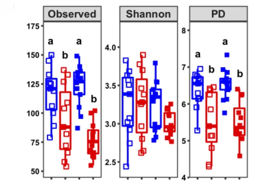 Open access visualization of Box Plot, Scatter Plot, Alpha Diversity, Observed, PD
