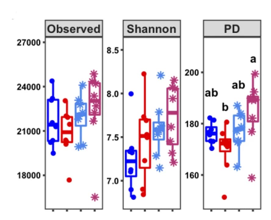 Open access visualization of Box Plot, Scatter Plot, Alpha Diversity, Observed Metrics, Shannon Metrics