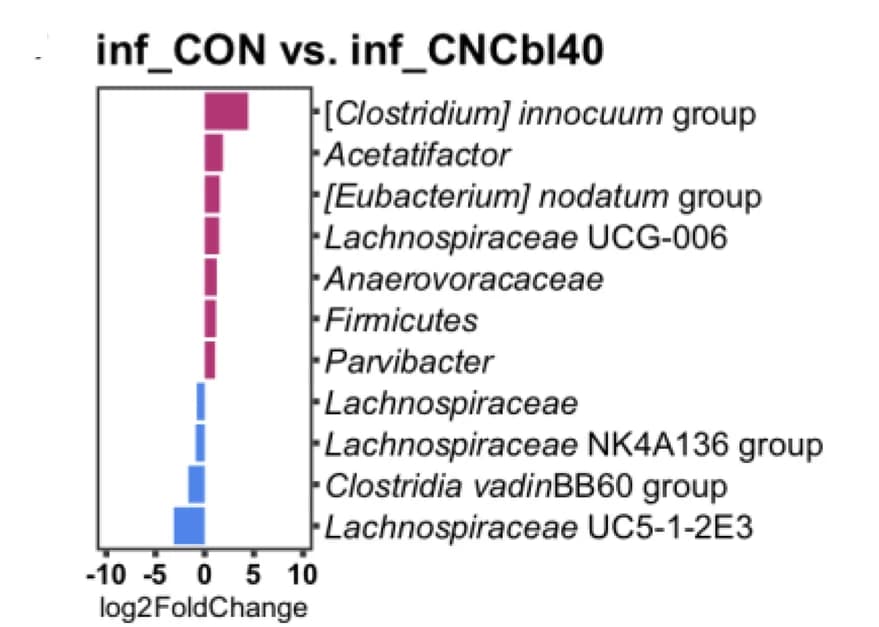 Open access visualization of Bar Plot, Differential Expression, DEseq2, Microbial Taxa, Firmicutes