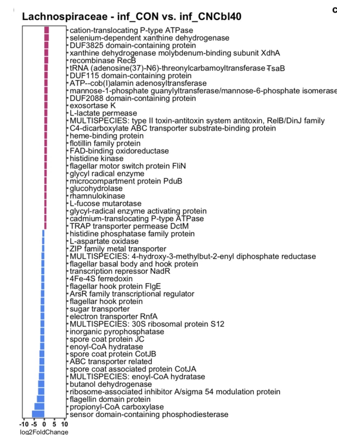 Open access visualization of Bar Plot, C. Rodentium, Lachnospiraceae, Functional Activity, Gene Expression