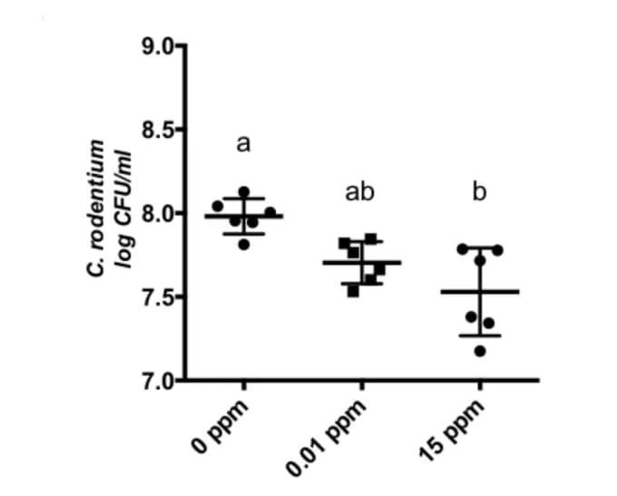 Open access visualization of Scatter Plot, Error Bars, C. Rodentium, Growth Assay
