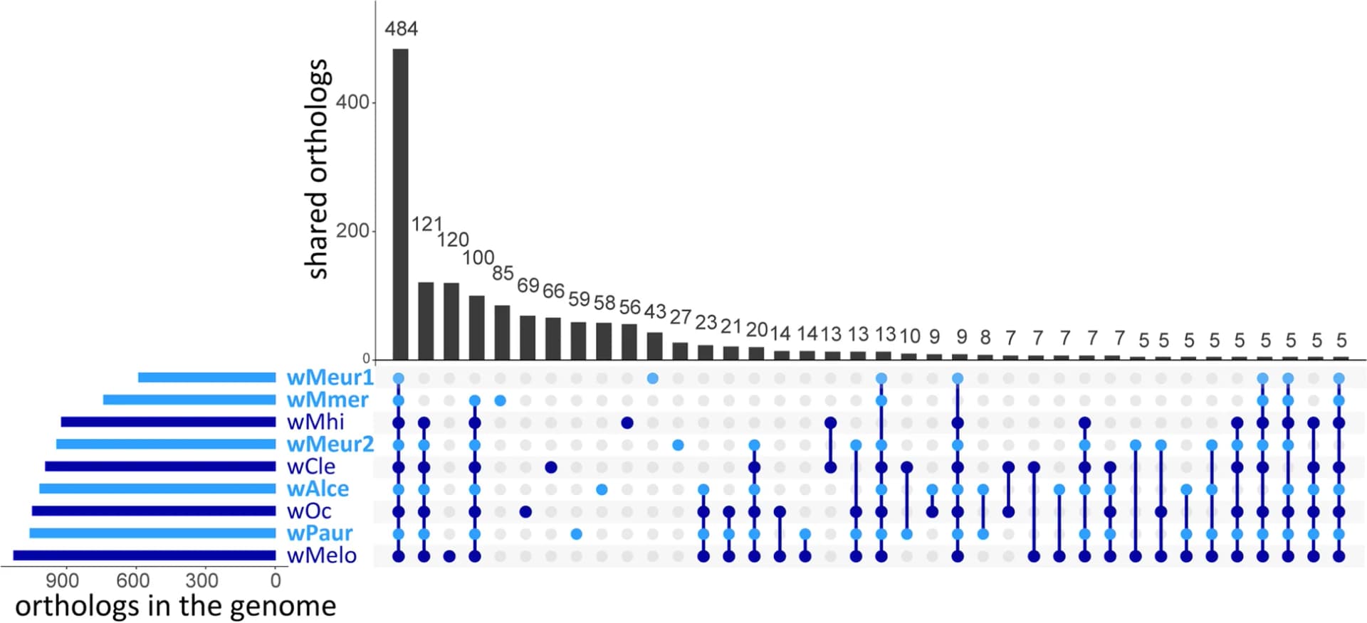 Open access visualization of Bar Plot, Scatter Plot, Orthogroups, Wolbachia Genomes, Chewing Lice
