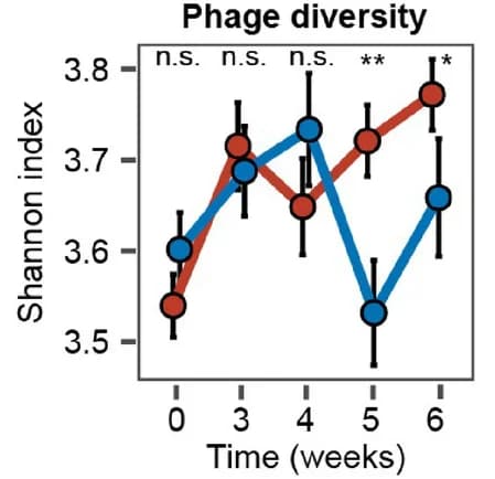 Open access visualization of Line Plot, Error Bars, Phage Community Diversity, Shannon Alpha Diversity Index, Rhizosphere Microbiome