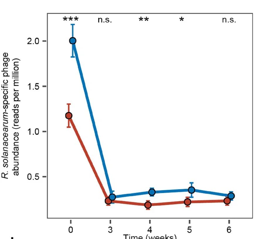 Open access visualization of Line Plot, Error Bars, Phages, Rhizosphere Microbiome, Healthy Plant