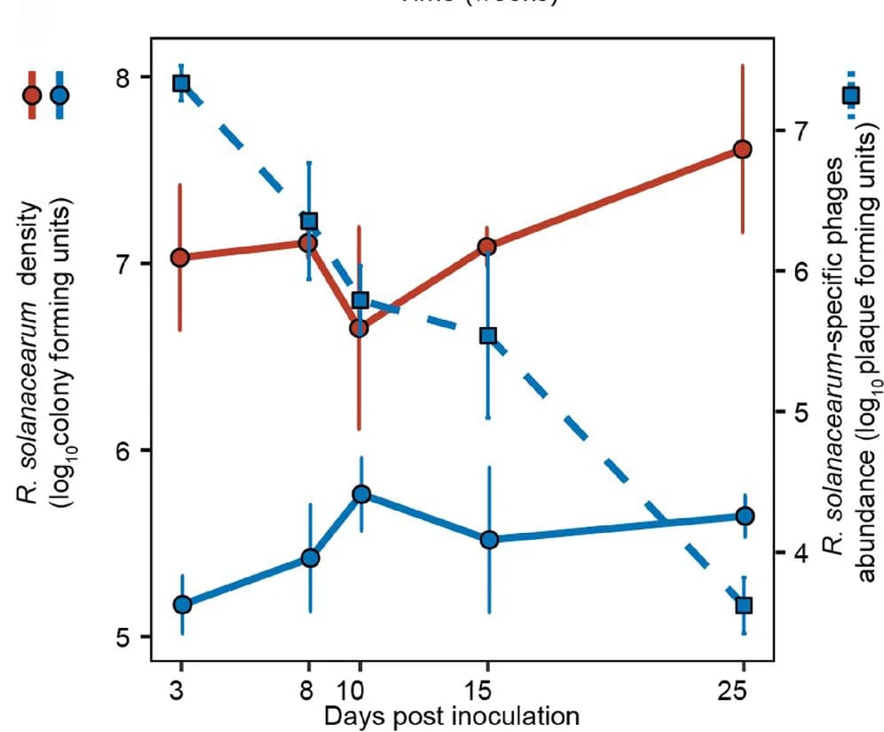 Open access visualization of Line Plot, Error Bars, R. Solanacearum, Phages
