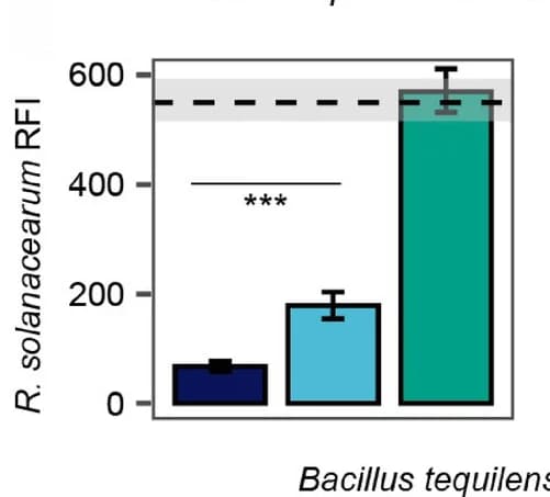 Open access visualization of Bar Plot, Error Bars, Inhibitor bacteria, Inhibitor-associated phages, R. solanacearum