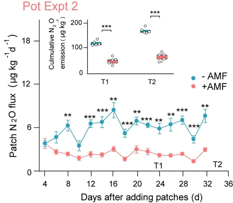Open access visualization of Line Plot, Error Bars, Box Plot, N2O Flux, Cumulative N2O Emission