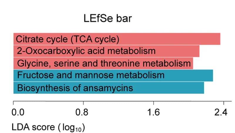 Open access visualization of Bar Plot, Linear Discriminant Analysis Effect Size, LEfSe, Carbon Metabolism, -AMF Treatment