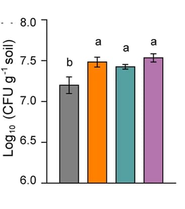 Open access visualization of Bar Plot, Error Bars, P. fluorescens, AMF, Glucose