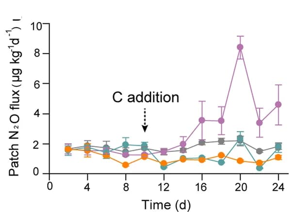 Open access visualization of Line Plot, Error Bars, N2O flux, P. fluorescens, AMF
