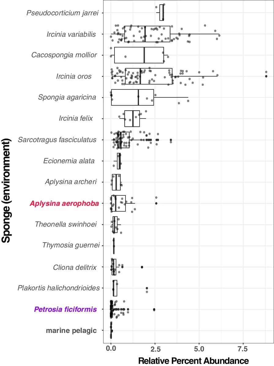 Open access visualization of Box Plot, Scatter Plot, Binatota, 16S rRNA, Aplysina aerophoba