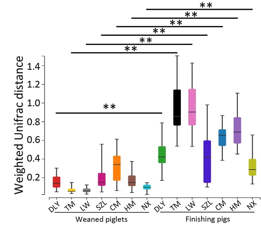 Open access visualization of Box Plot, Weighted UniFrac Distance, Fungal Communities