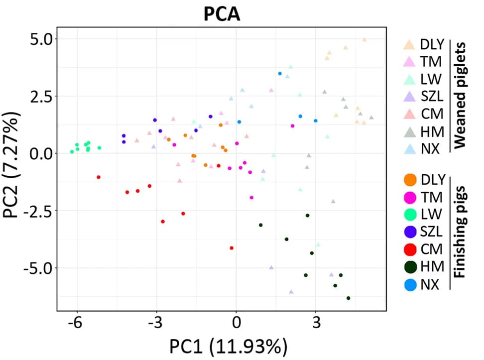 Open access visualization of Scatter Plot, PCA, Gut Fungal Communities