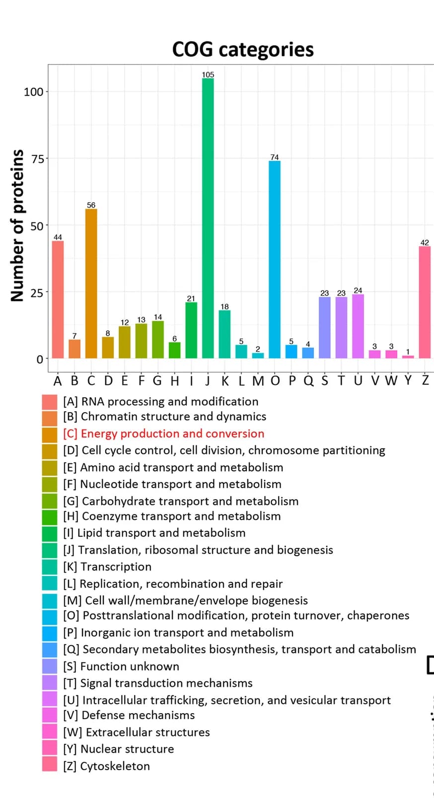 Open access visualization of Bar Plot, COG Annotation, Lysine-succinylated Proteins