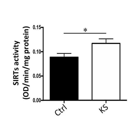 Open access visualization of Bar Plot, Error Bars, Sirtuins, IPEC-J2 Cells, Activity